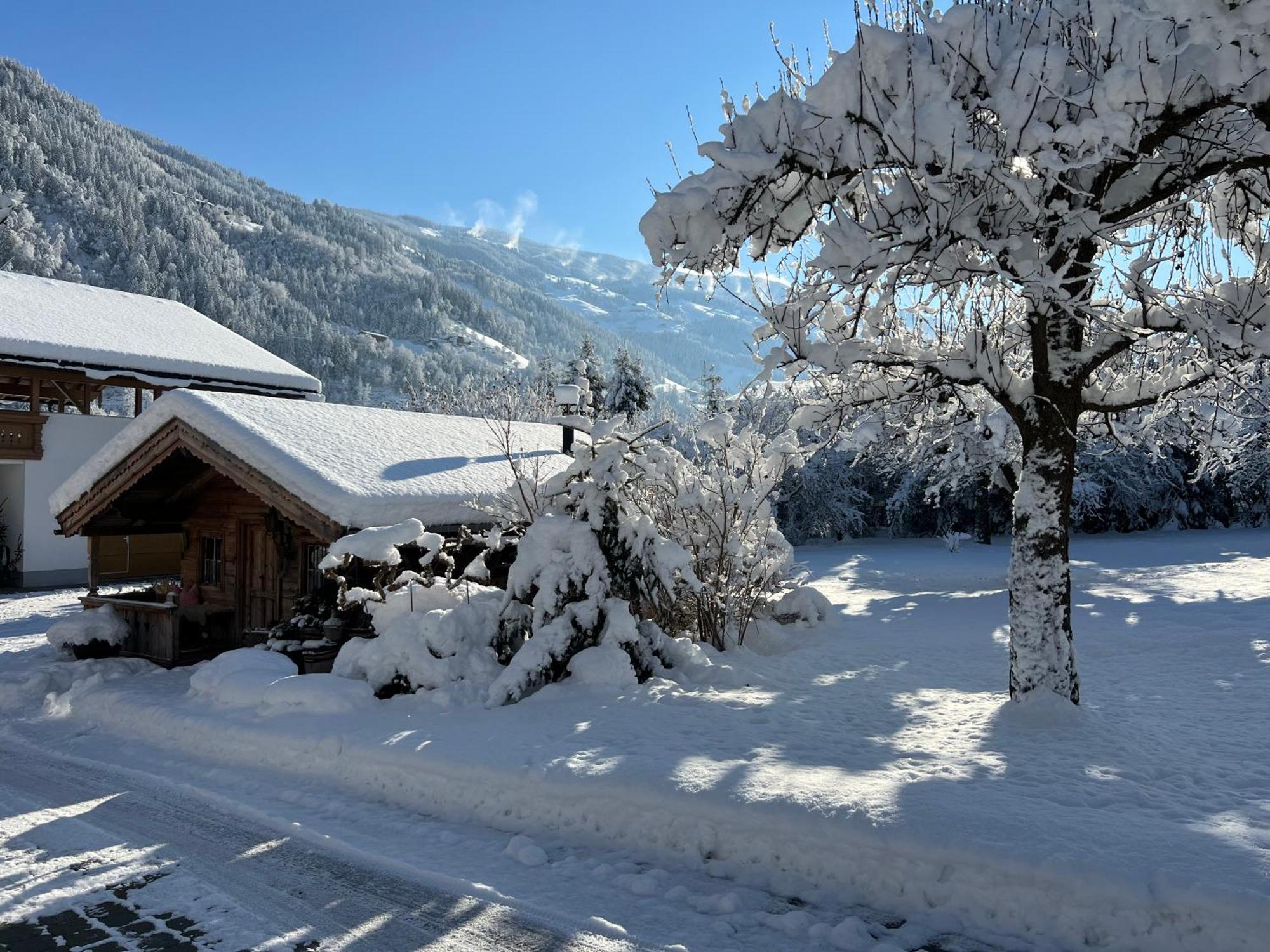 Martlerhof Apartment Aschau Im Zillertal Ngoại thất bức ảnh