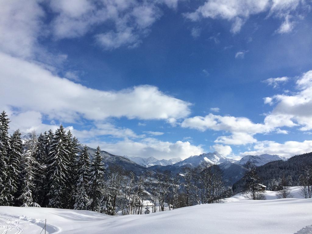 Martlerhof Apartment Aschau Im Zillertal Ngoại thất bức ảnh