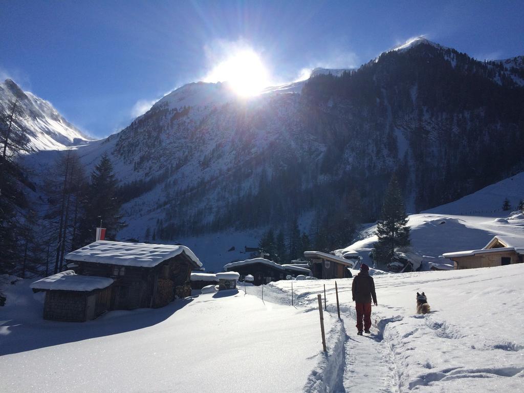 Martlerhof Apartment Aschau Im Zillertal Ngoại thất bức ảnh