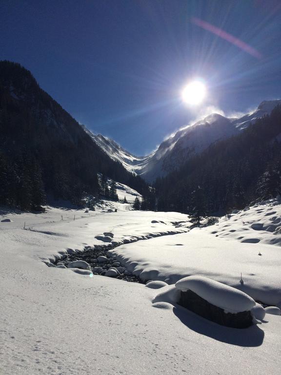 Martlerhof Apartment Aschau Im Zillertal Ngoại thất bức ảnh