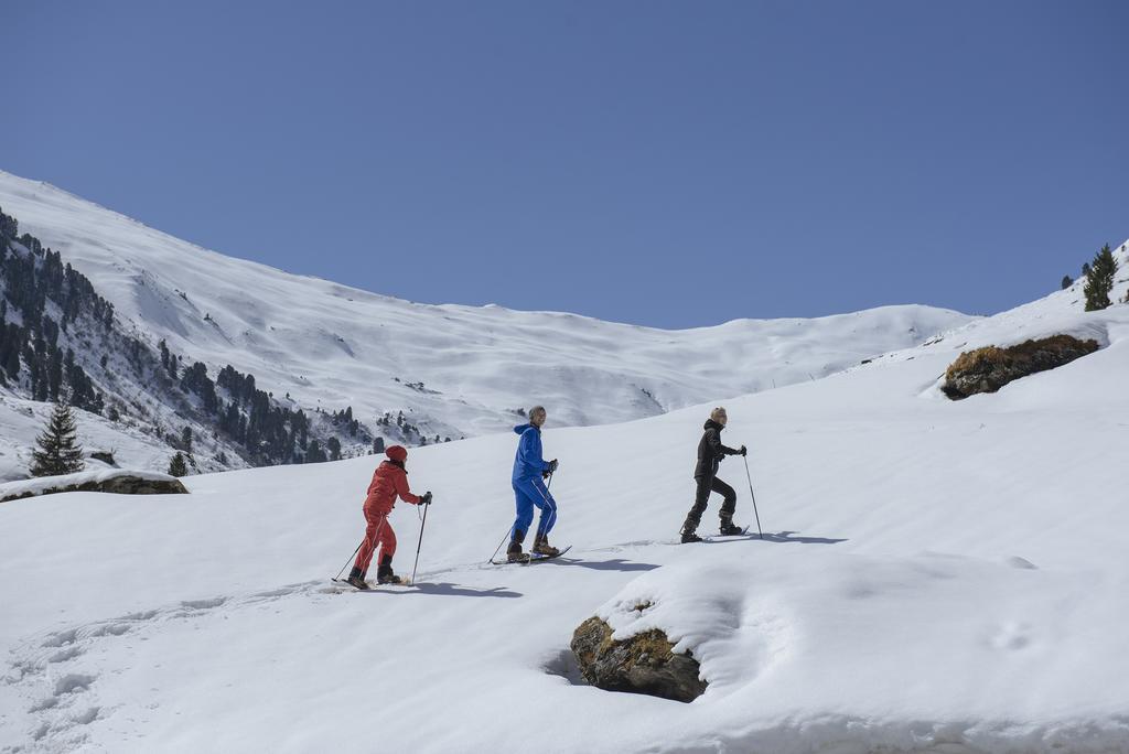 Martlerhof Apartment Aschau Im Zillertal Ngoại thất bức ảnh