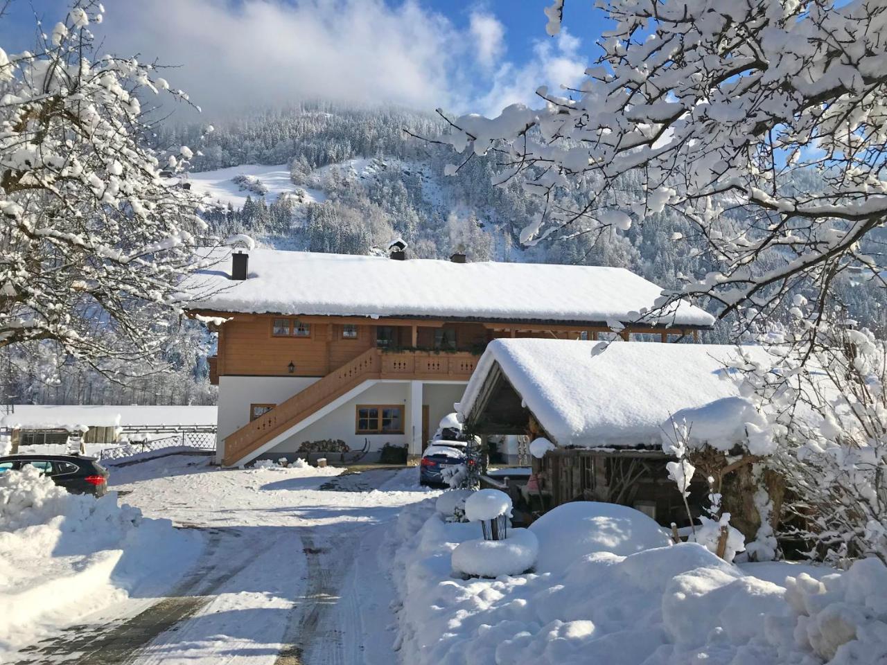 Martlerhof Apartment Aschau Im Zillertal Ngoại thất bức ảnh